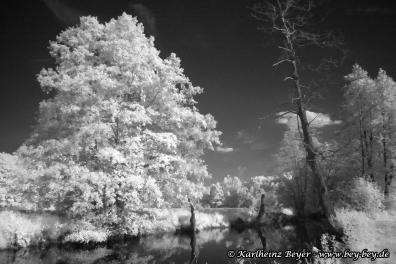 B05_IMGP8446_Saale bei Oberkotzau.jpg